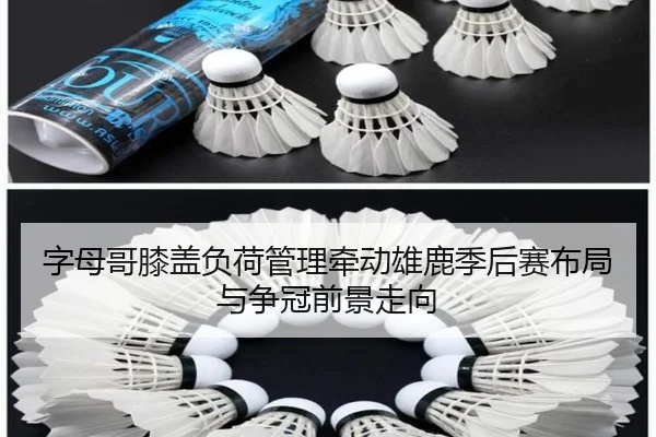 字母哥膝盖负荷管理牵动雄鹿季后赛布局与争冠前景走向